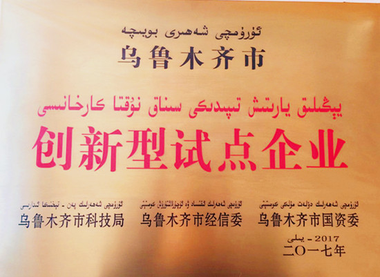 新疆公司获评“乌鲁木齐市创新型试点企业”称号_副本.jpg