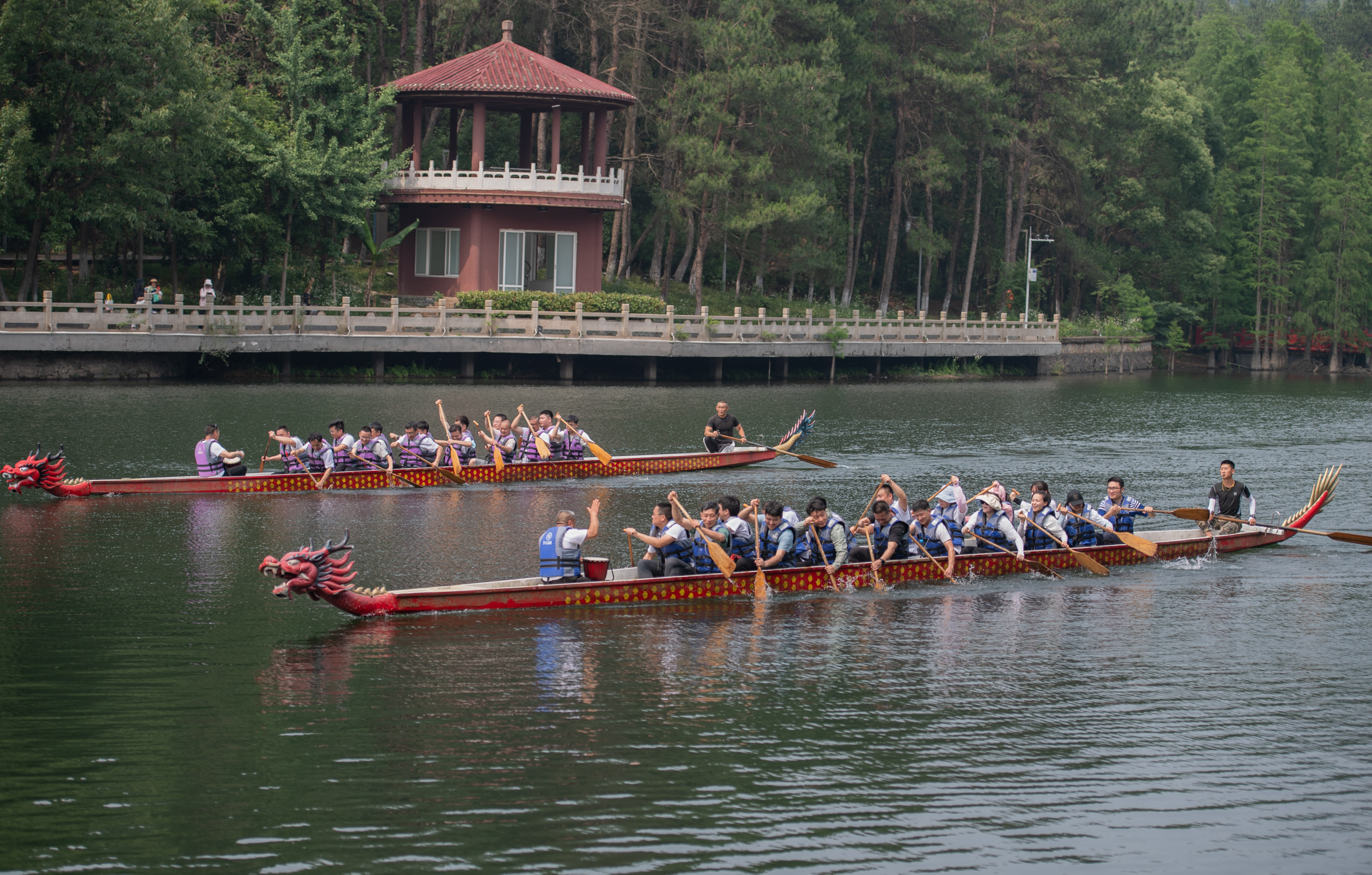 DSC_0426.jpg DSC_0426.jpg