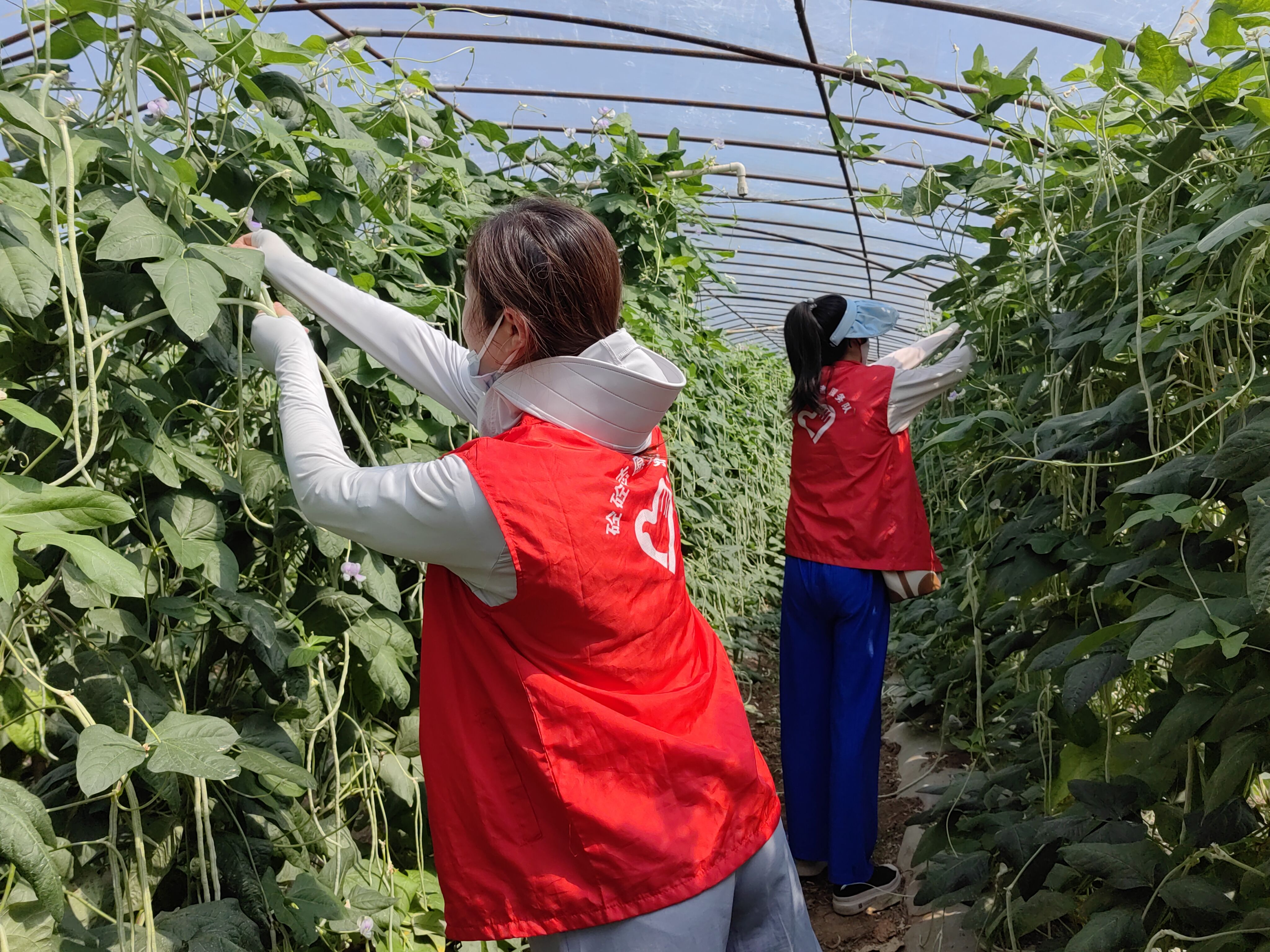 QQ图片20220613215319.jpg QQ图片20220613215319.jpg