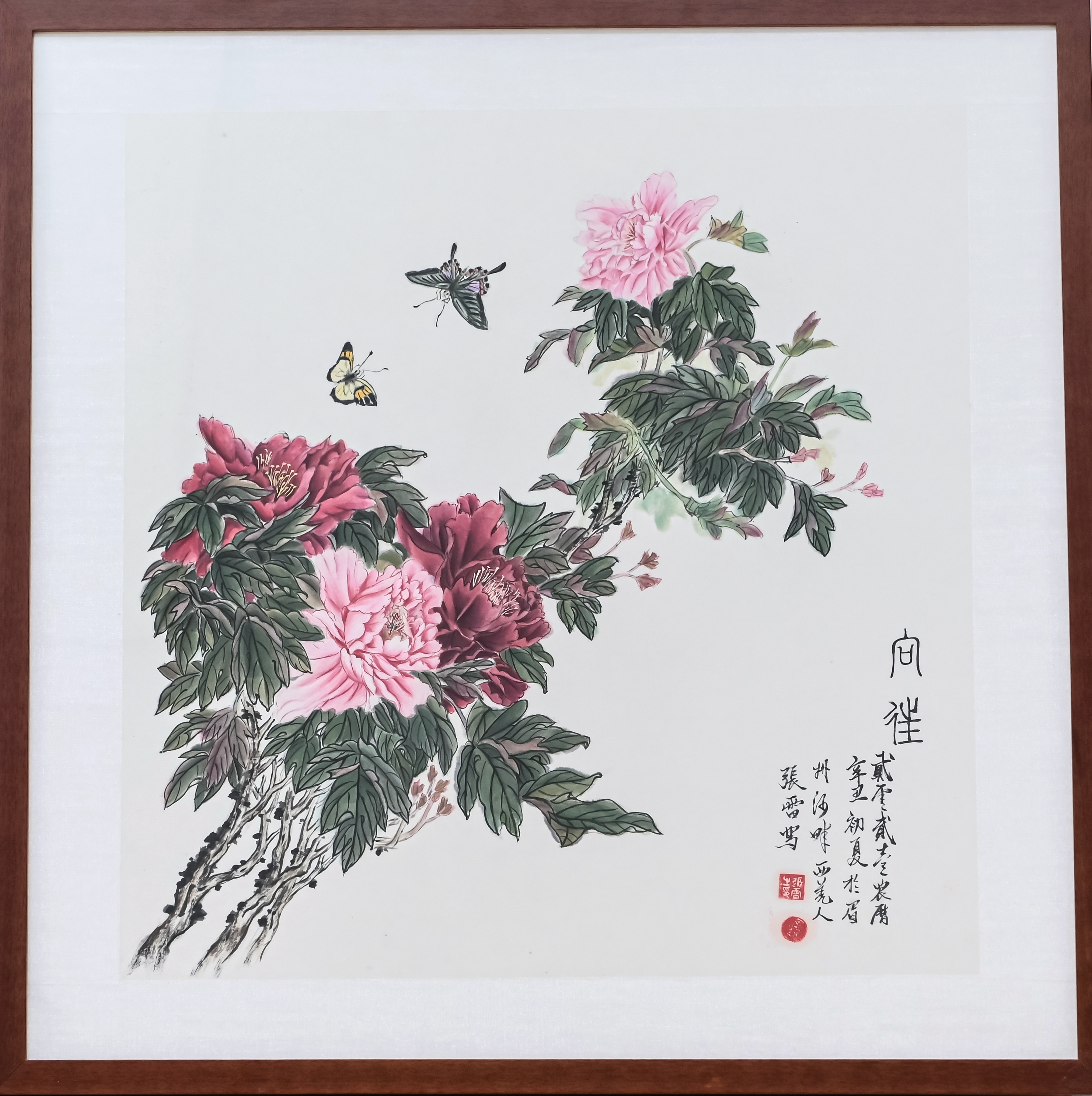 向往  张磊  新材料科技公司.jpg