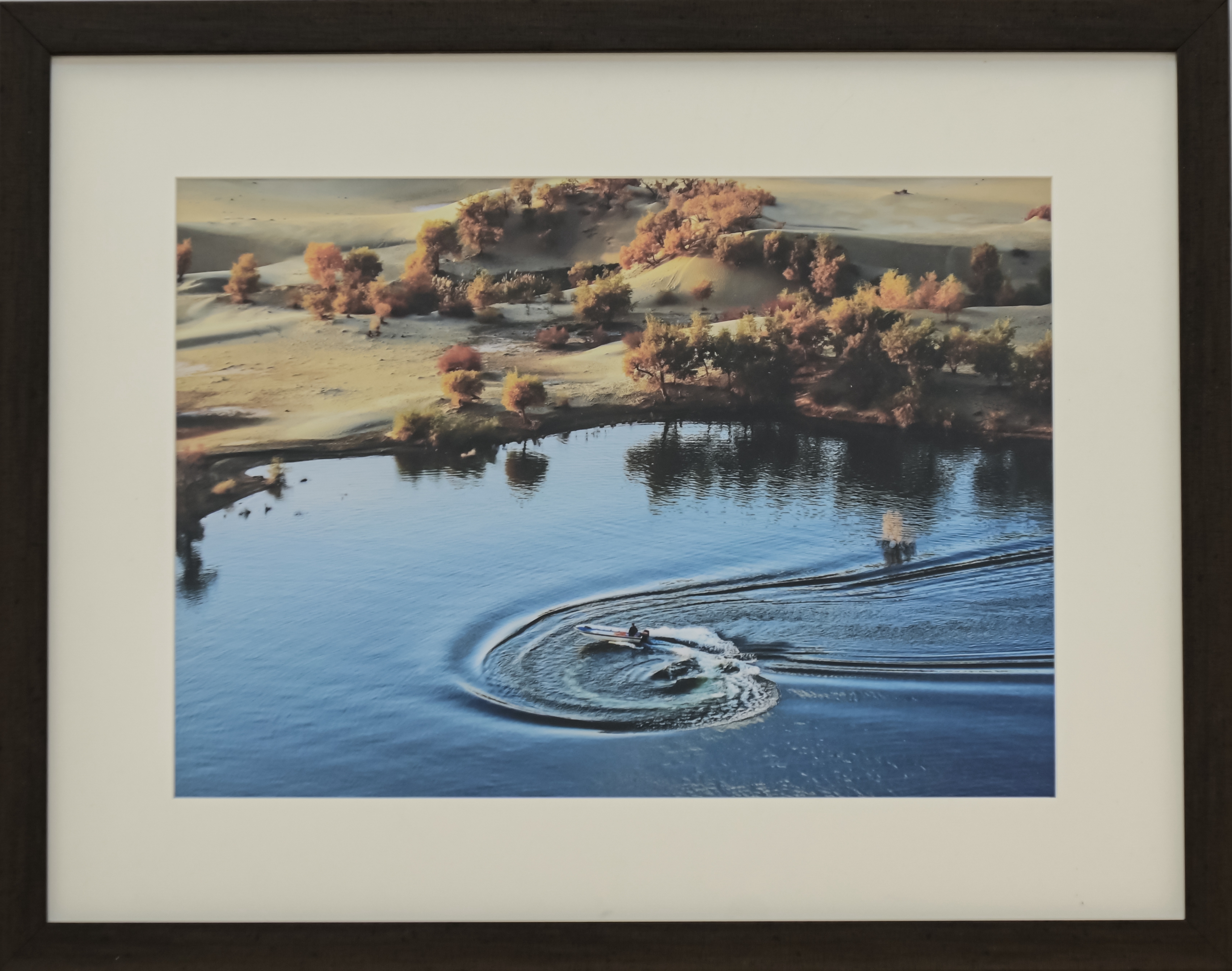 荒漠之泉  杨博  新疆公司.jpg